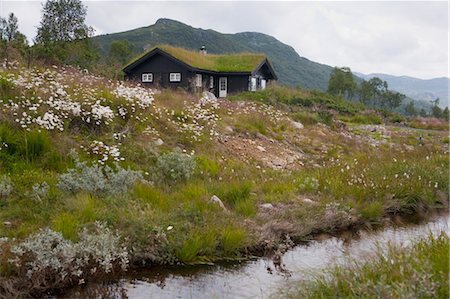 eco friendly home - House with Green Roof, Near Tinn, Telemark, Norway Stock Photo - Rights-Managed, Code: 700-03622795