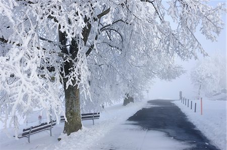 Country Road and Trees in Winter, Canton Zug, Switzerland Stock Photo - Rights-Managed, Code: 700-03644620