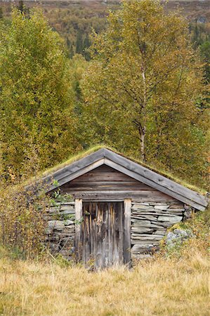 deteriorating building - Small Shack in Forest Stock Photo - Rights-Managed, Code: 700-03659257