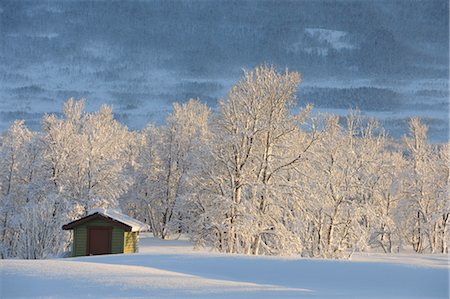 Cottage, Breivikeidet, Troms, Norway Stock Photo - Rights-Managed, Code: 700-03665474