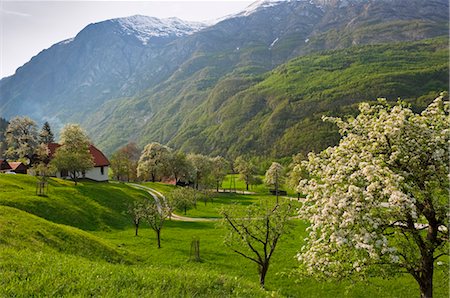 Countryside, Slovenia Stock Photo - Rights-Managed, Code: 700-03665569