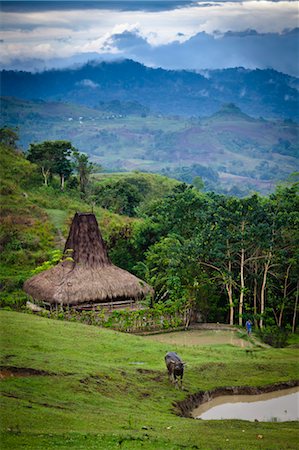 Village and Landscape, Lapale, Sumba, Indonesia Foto de stock - Con derechos protegidos, Código: 700-03665823