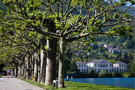 Gardens of Villa Melzi, Bellagio, Lake Como, Province of Como, Lombardy, Italy Stock Photo - Rights-Managed, Code: 700-03660190