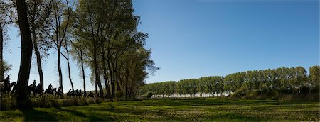 groupe de gens Horseback Riding, Damme, Flandre occidentale, Flandre, Belgique Photographie de stock - Rights-Managed, Code: 700-03685804