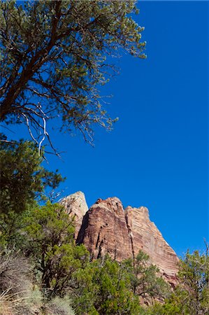 simsearch:400-04512534,k - Towers of the Virgin, Zion National Park, Utah, USA Stock Photo - Rights-Managed, Code: 700-03686027