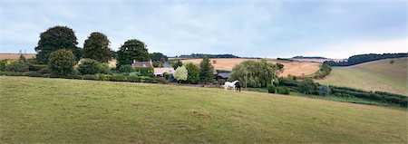 farmyard - Old Farmhouse Amongst Trees and Fields, Cotswolds, Gloucestershire, England Foto de stock - Con derechos protegidos, Código: 700-03682422