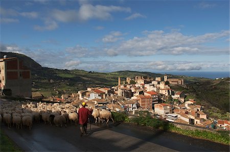 shepherd (male) - Flock of Sheep on Road, Collesano, Sicily, Italy Stock Photo - Rights-Managed, Code: 700-03738985