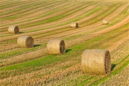 farmlands - Hay Bales in Field, Reinheim, Hesse, Germany Stock Photo - Rights-Managed, Code: 700-03787357
