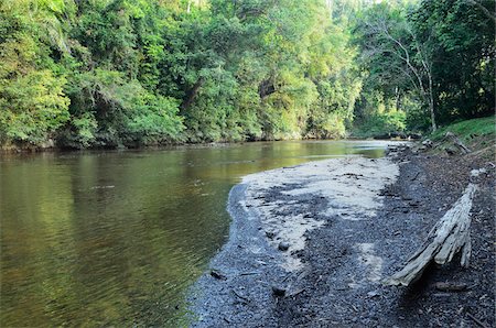 rain forest in malaysia - Tahan River, Rainforest, Taman Negara National Park, Pahang, Malaysia Stock Photo - Rights-Managed, Code: 700-03799549