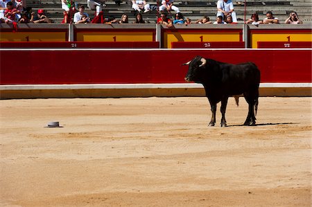 spain culture men - Bull in Bullring, Fiesta de San Fermin, Pamplona, Navarre, Spain Stock Photo - Rights-Managed, Code: 700-03805448
