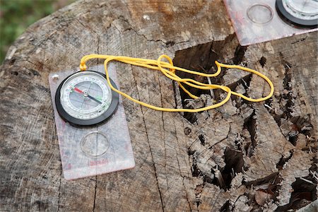 decay (organic) - Compasses on Tree Stump Stock Photo - Rights-Managed, Code: 700-03849036