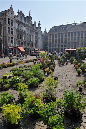 Flower Market in Grand Place, Brussels, Belgium Stock Photo - Rights-Managed, Code: 700-03891074