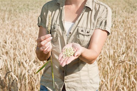 Woman in Wheat Field, Mannheim, Baden-Wurttemberg, Germany Stock Photo - Rights-Managed, Code: 700-03893382