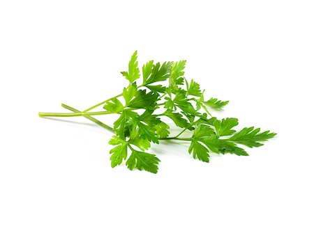 parsley - Fresh flat parsley Stock Photo - Rights-Managed, Code: 825-05815690