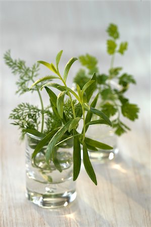 simsearch:825-07076761,k - Mixed fresh herbs Stock Photo - Rights-Managed, Code: 825-05813947