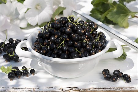 Bowl of blackcurrants Stock Photo - Rights-Managed, Code: 825-05836350