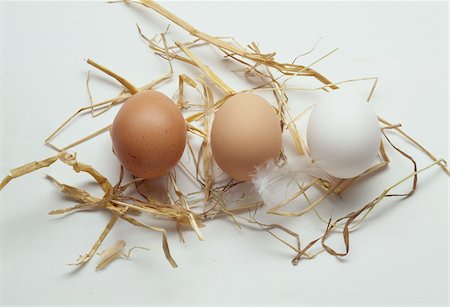 simsearch:825-06047612,k - Chicken eggs with straw Stock Photo - Rights-Managed, Code: 825-05985673