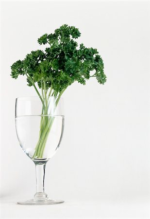 simsearch:825-03628865,k - sprig of curly parsley Stock Photo - Rights-Managed, Code: 825-05986051