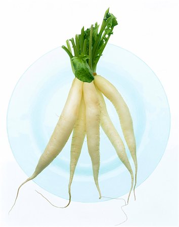 simsearch:825-06047612,k - bunch of daikon radishes Stock Photo - Rights-Managed, Code: 825-05986639