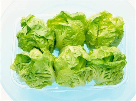 simsearch:825-07649320,k - green lettuce in punnet Stock Photo - Rights-Managed, Code: 825-05986649