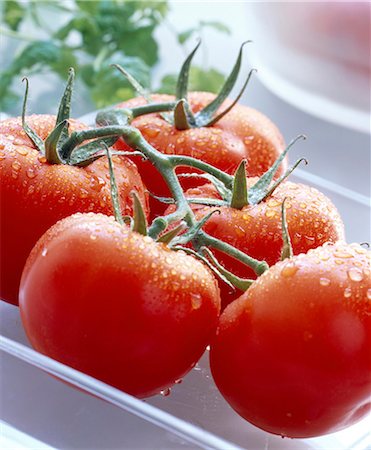 stem tomatoes Stock Photo - Rights-Managed, Code: 825-05987341