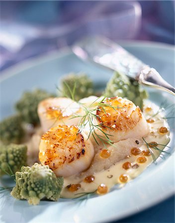 simsearch:825-07649320,k - Pan-fried scallops with romanesco cabbage Stock Photo - Rights-Managed, Code: 825-05988220