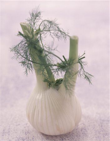 simsearch:700-06334366,k - Fennel bulb Stock Photo - Rights-Managed, Code: 825-05989068