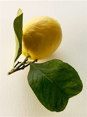 simsearch:825-05812193,k - Lemon Stock Photo - Rights-Managed, Code: 825-06816362