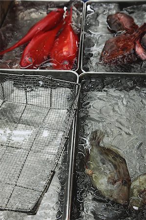 Fish in ice-trays Stock Photo - Rights-Managed, Code: 825-07076714