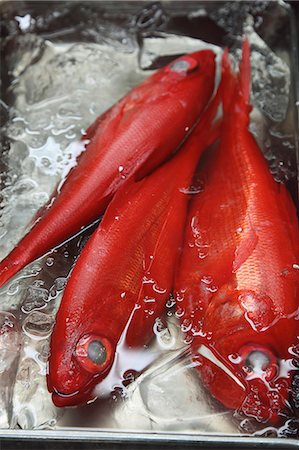 fish food cooking - Red fish in an ice-tray Stock Photo - Rights-Managed, Code: 825-07076713