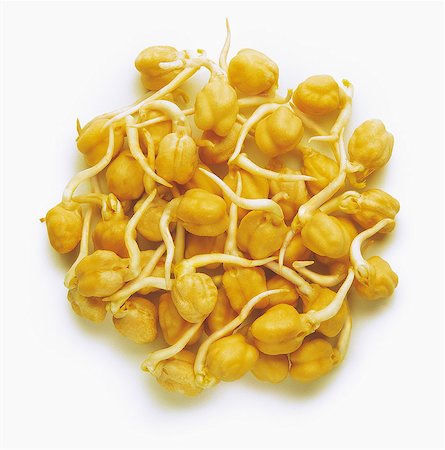 sprout - Sprouting chickpeas Stock Photo - Rights-Managed, Code: 825-07078135