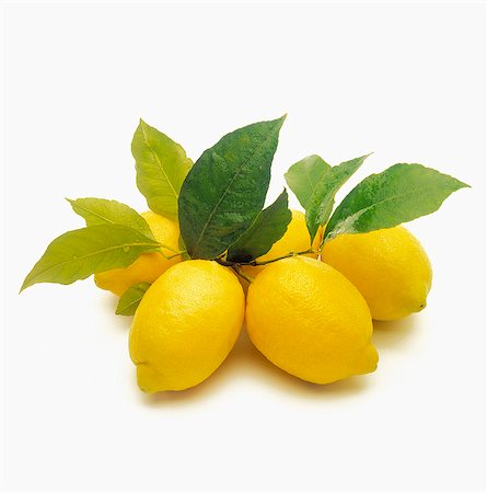 simsearch:825-05812193,k - Branch of lemons Stock Photo - Rights-Managed, Code: 825-07078139