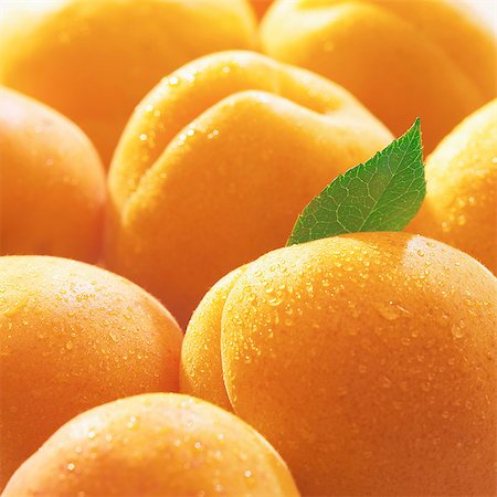 simsearch:825-07076761,k - Apricots Stock Photo - Rights-Managed, Code: 825-07078419