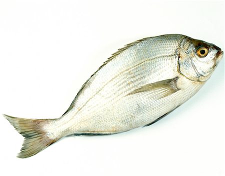 simsearch:825-02306228,k - Sea bream Foto de stock - Con derechos protegidos, Código: 825-02305080