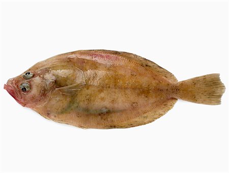 simsearch:825-02306228,k - blond cardinal fish Foto de stock - Con derechos protegidos, Código: 825-02305347