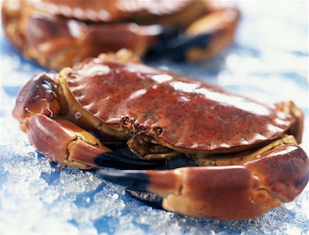 simsearch:825-02306228,k - edible crab Foto de stock - Con derechos protegidos, Código: 825-02305900