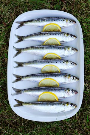 sardine barbecue - sardines Stock Photo - Rights-Managed, Code: 825-02306865