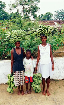 fagots - Plantation de Bella Vista Photographie de stock - Rights-Managed, Code: 825-03628380