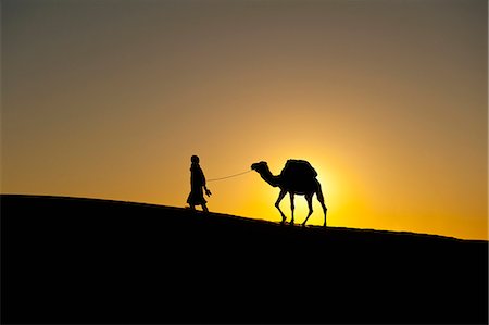 sahara camel - Morocco, Silhouette of Berber 'Blue man' leading camel across sand dunes at dusk in Erg Chebbi area; Sahara Desert near Merzouga Stock Photo - Rights-Managed, Code: 832-08007599