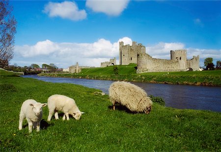 simsearch:832-03639876,k - Co Meath, Trim Castle Stock Photo - Rights-Managed, Code: 832-02254107