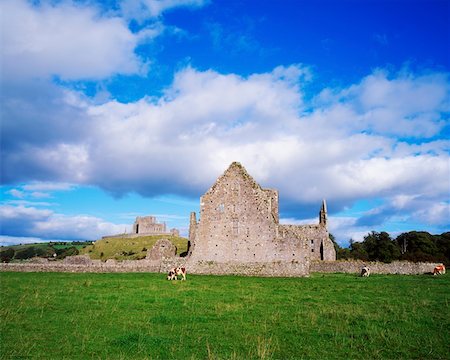 Co Tipperary, Rock of Cashel Stock Photo - Rights-Managed, Code: 832-02254399