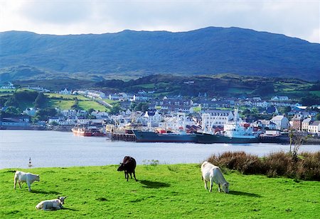 simsearch:832-03639876,k - Co Donegal, Killybegs Stock Photo - Rights-Managed, Code: 832-02254464