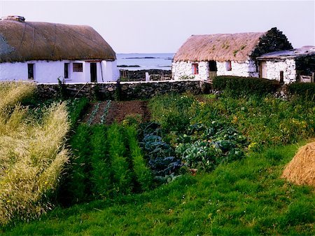 Traditional cottages, Co Galway, Ireland Stock Photo - Rights-Managed, Code: 832-02255074