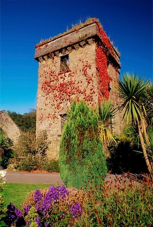 simsearch:832-03233600,k - Ballyvourney, County Cork, Ireland; Castle ruins Stock Photo - Rights-Managed, Code: 832-02255383