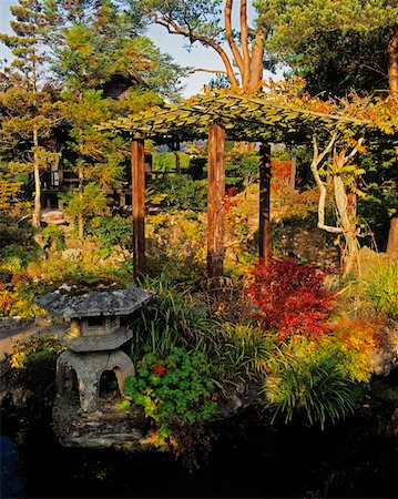flower tree sunrise - Beautiful garden Stock Photo - Rights-Managed, Code: 832-02252590