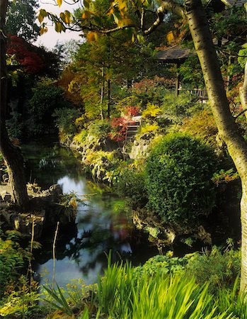 High angle view of a pond and plants in a garden, Japanese Garden, County Kildare, Republic Of Ireland Stock Photo - Rights-Managed, Code: 832-02252635