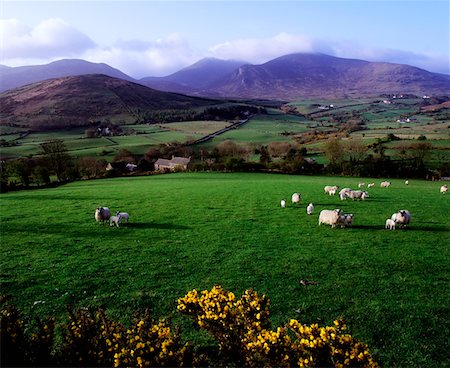 simsearch:832-03232823,k - Mourne Mountains from Trassey Road, Co. Down, Ireland Stock Photo - Rights-Managed, Code: 832-02252702