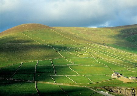 simsearch:832-03232823,k - Small Fields & Stone Walls, Coumeenoole, Dingle Peninsula, Co Kerry. Ireland Stock Photo - Rights-Managed, Code: 832-02252776