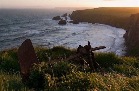 simsearch:832-02252830,k - Sunset and Trees, Copper Coast, Co Waterford, Ireland Foto de stock - Con derechos protegidos, Código: 832-02252830