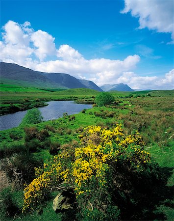 Co Mayo, Between Westport And Leenane Stock Photo - Rights-Managed, Code: 832-02252911